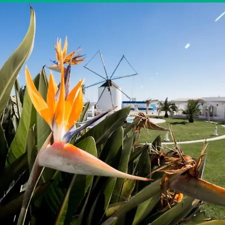 Windmill Hill Luxury Apartament *